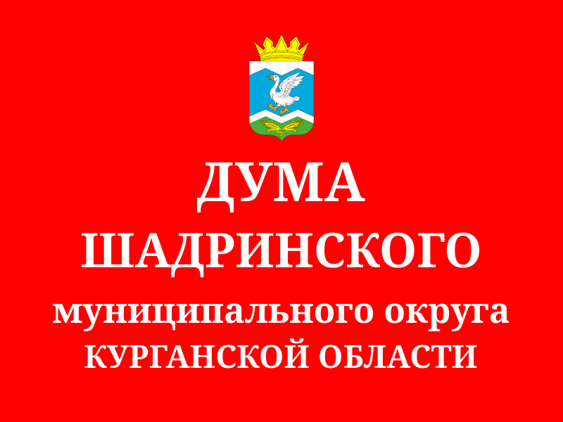 Заседания депутатских комиссий.