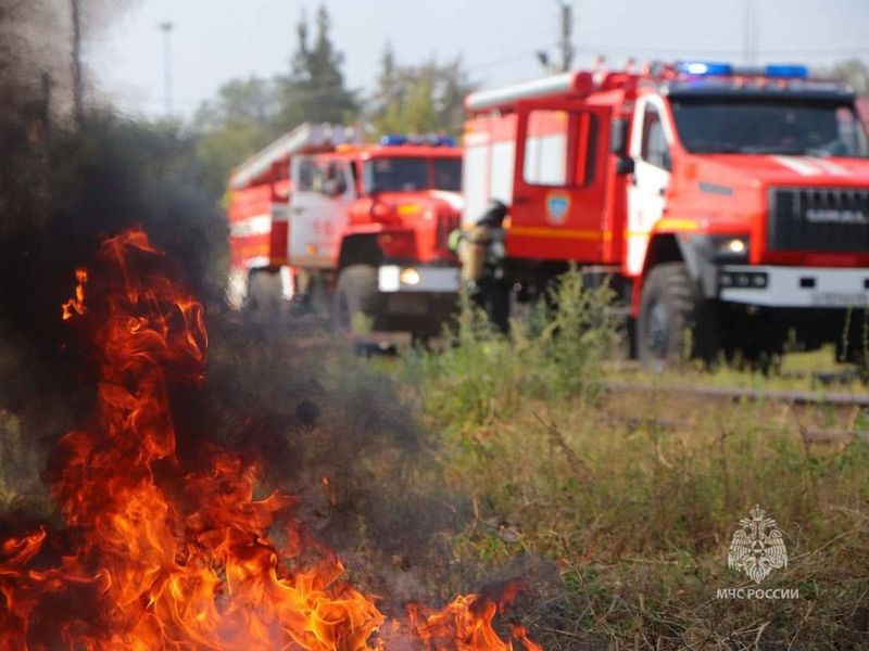 С 7 мая на территории всей Курганской области в связи с пожарами введён режим ЧС.