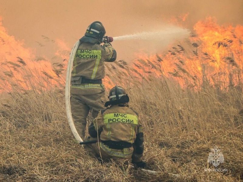 С 10 апреля в Курганской области начался пожароопасный сезон.