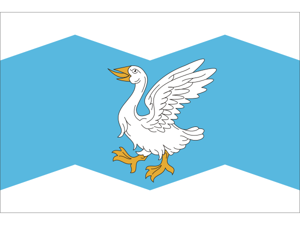 Флаг Шадринского муниципального округа