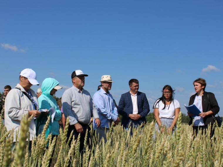 Совещание с руководителями сельхозпредприятий и главами КФХ по вопросам уборочной кампании - 2022.